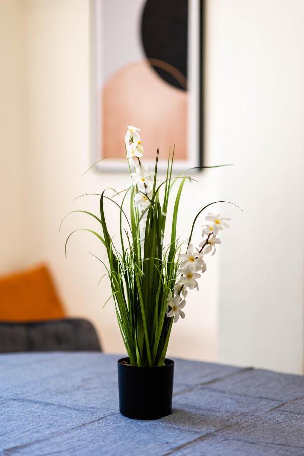 القدس Central On Hapalmach- 3-Bdr Apartment المظهر الخارجي الصورة